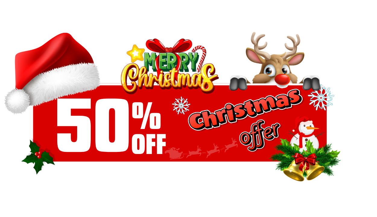 christmas-offer-50%-off-assignnmentninneed.com